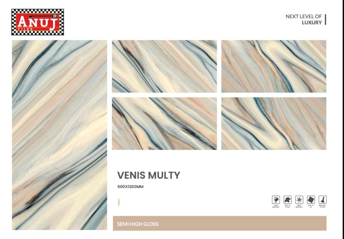 ANUJ 4X2 FLOOR TILE -VENIS MULTY